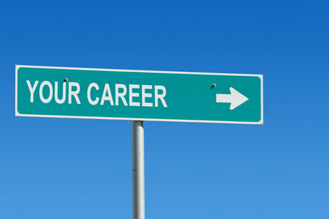 picking a career path